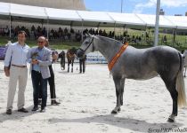 W SUBCAMPEONA DEL CONCURSO NAVIERA XXVIII, DE MIGUEL GRANDA. ENTREGA PEDRO PINGARRON (Copiar)